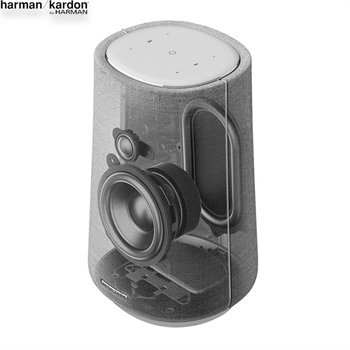 Loa Harman Kardon Citation 100 6